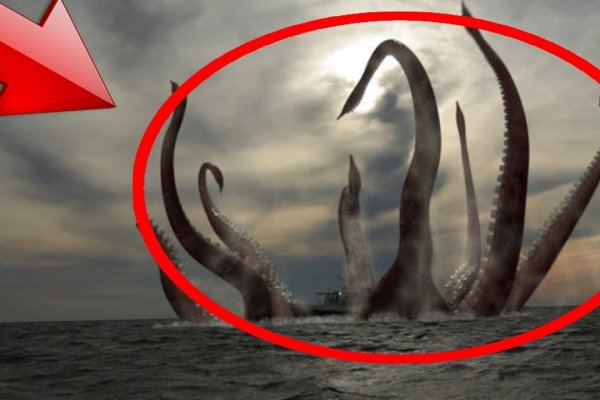 Ссылка на кракен onion kraken dark link