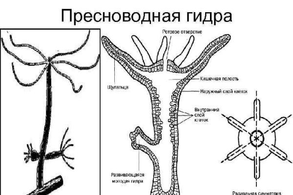 Официальный сайт кракен тор