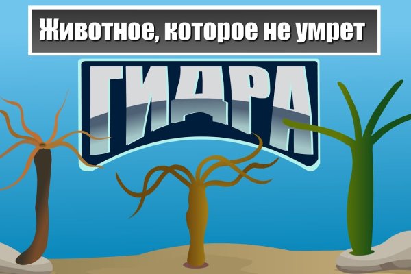 Новый адрес кракен