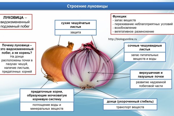 Ссылка на кракен на сегодня