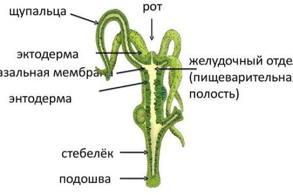 Вход в кракен даркнет