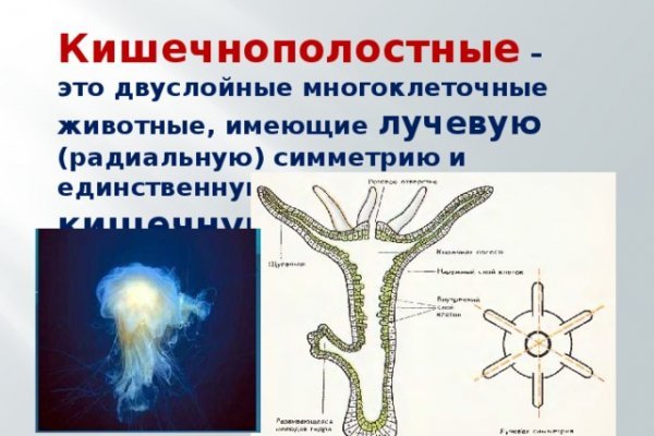 Кракен сайт kr2web in